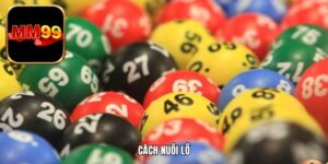 Cách Nuôi Lô Thắng Lớn, Thưởng Khủng Người Chơi Nên Biết