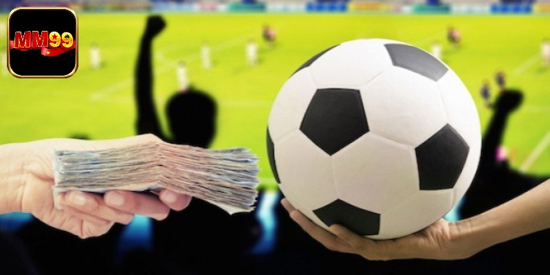 Chiến thuật đặt cược 1/4 giúp người mới tăng tỷ lệ thắng