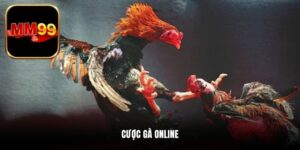 Cược Gà Online - Lựa Chọn Giải Trí Hấp Dẫn Hàng Đầu