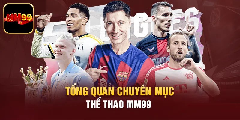 Giới thiệu về sảnh thể thao MM99