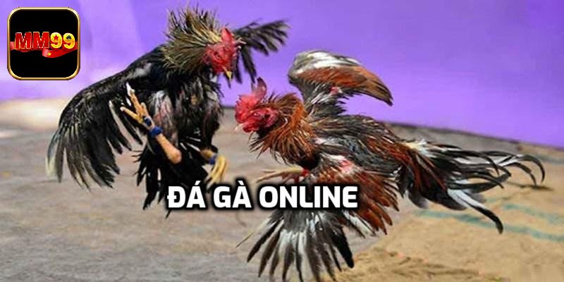 Khái quát sơ lược về đá gà online