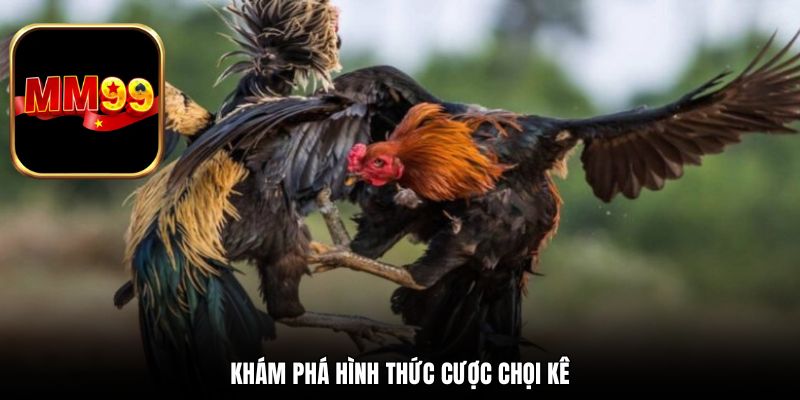 Khám phá hình thức cược chọi kê