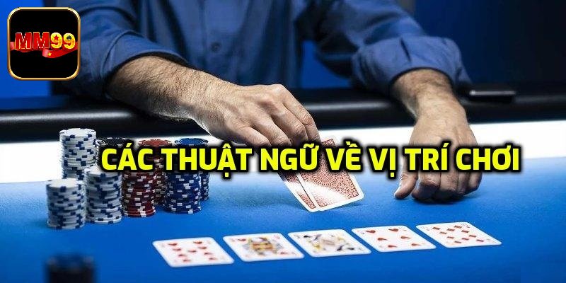 Những từ ngữ liên quan đến tổ hợp cơ bản 