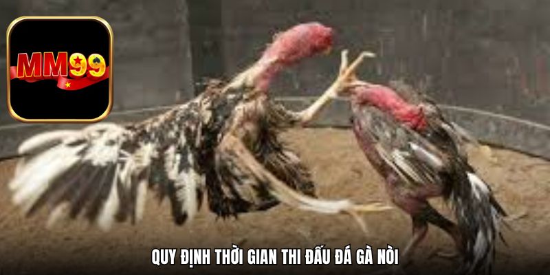 Quy định thời gian thi đấu đá gà nòi