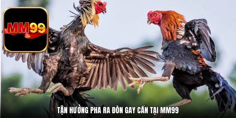 Tận hưởng pha ra đòn gay cấn tại MM99