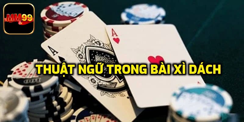 Thuật ngữ cơ bản cần phải biết