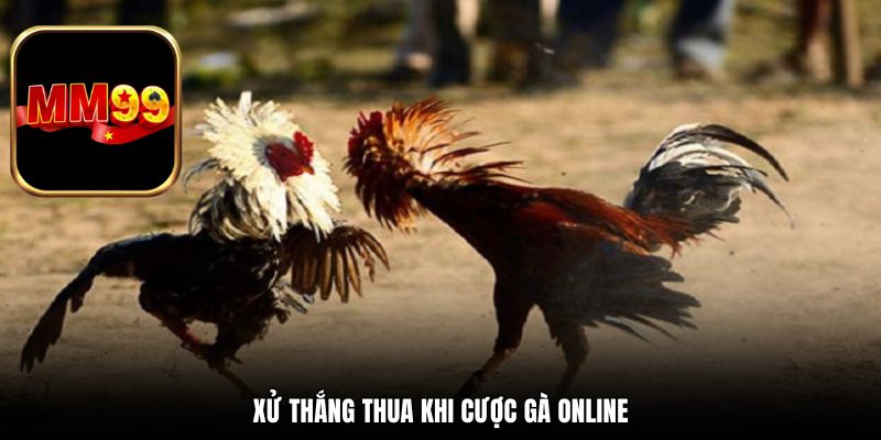 Xử thắng thua khi cược gà online